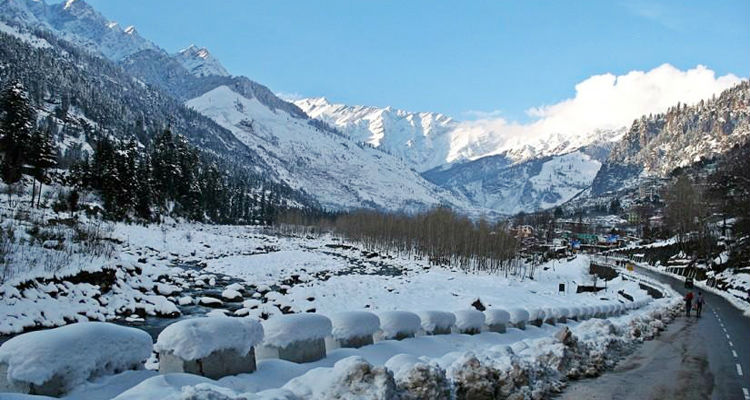 Manali Bus Service