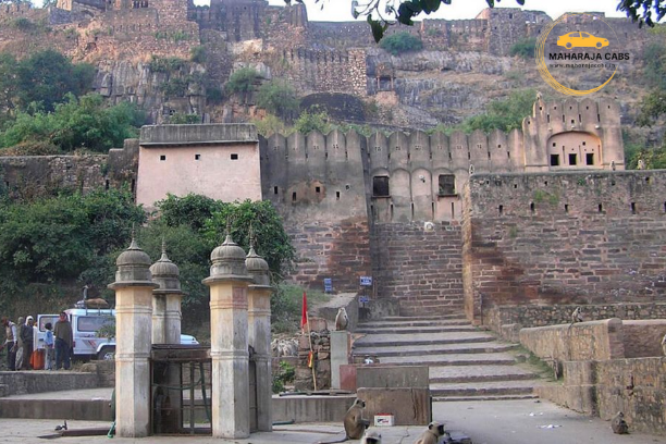 Ranthambore Safari Cabs