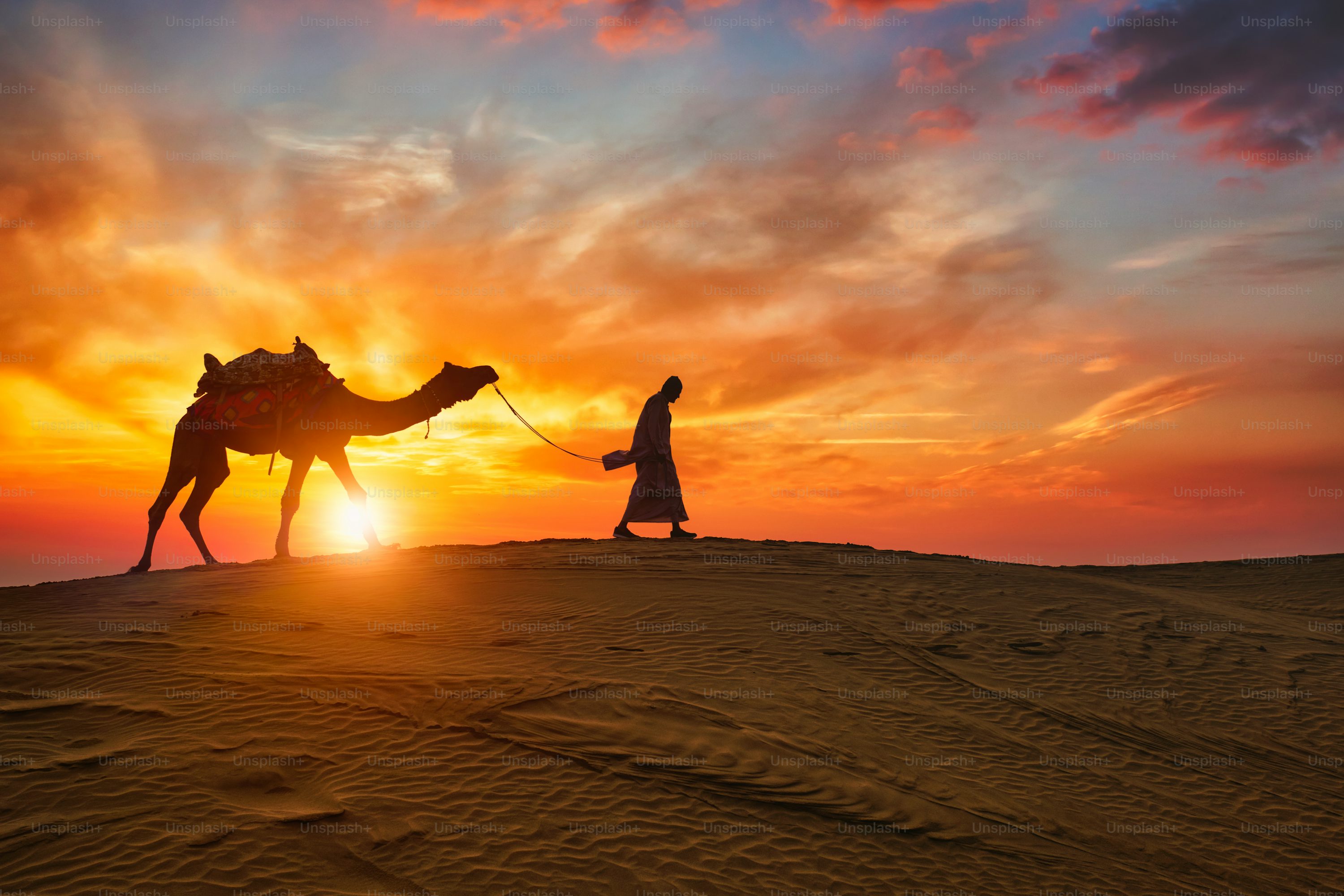 Introduction to Rajasthan’s royal culture in Jaipur with our expert guide.